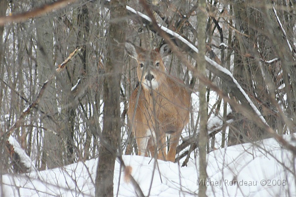 img_9382C.jpg