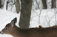 img_9401C