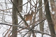 img_9405C