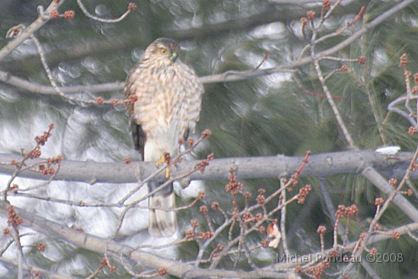 img_9478C.jpg