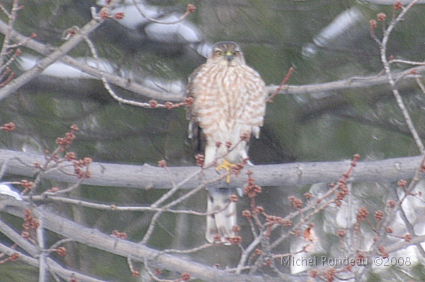 img_9482C.jpg