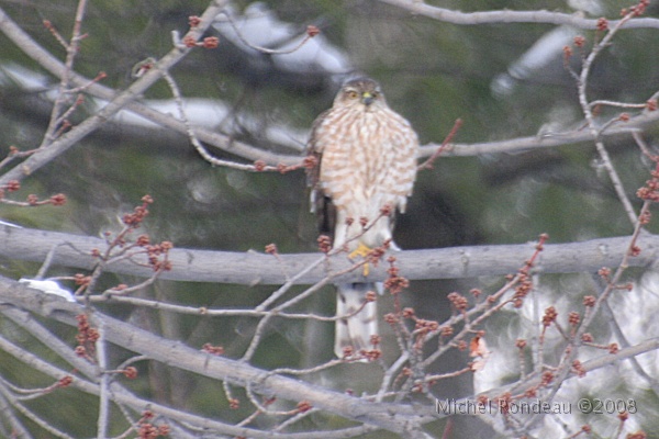 img_9487C.jpg