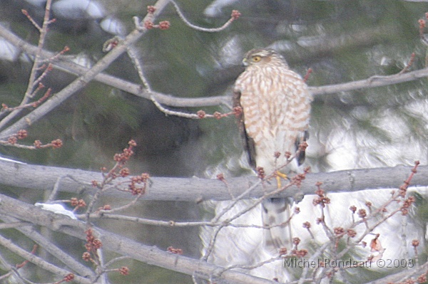 img_9491C.jpg