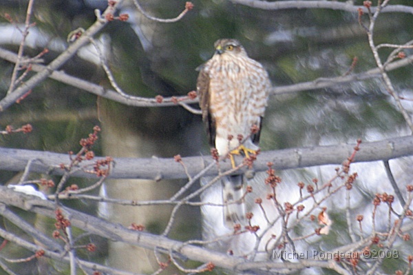 img_9498C.jpg