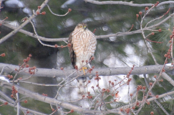 img_9513C.jpg