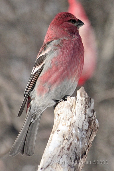 img_9673V.jpg
