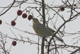 img_9728C