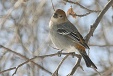 img_9824V