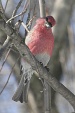 img_9828V