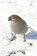 img_9864V