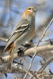 img_9874V