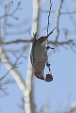 img_9882V
