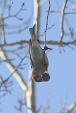 img_9885V