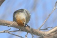 img_9944C