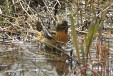 img_4632C