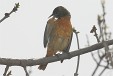 img_4644C