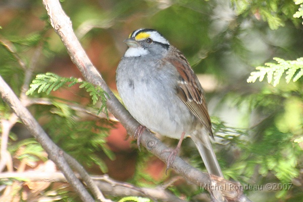 img_3892C.jpg