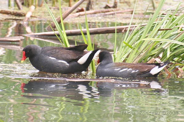 img_6643C.jpg