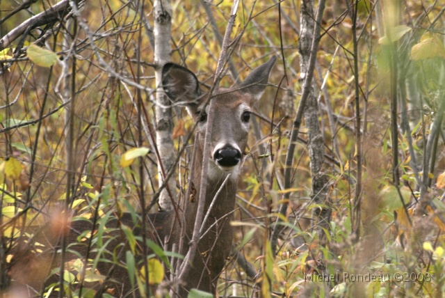 img_2999.jpg - 2006-10-11