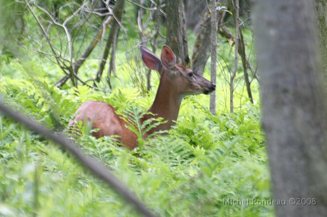 img_9265C.jpg - Je ne bouge pas | I'm standing still