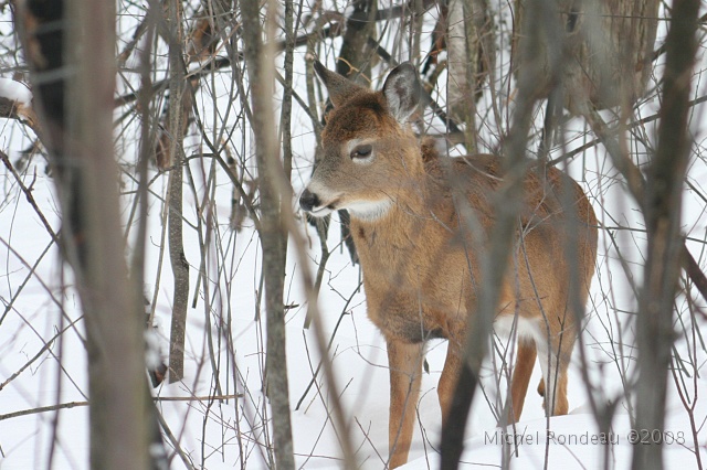img_9395C.jpg - Arrête un peu | Stops a bit