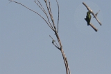 img_3223D