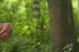 img_2477C