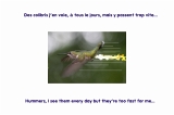 Hummer010828