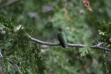img_2940C