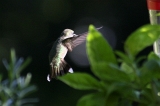 img_3316C