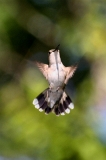 img_0943V