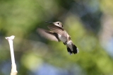 img_0944C
