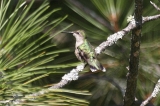 img_1044C