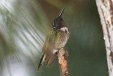 img_3281C