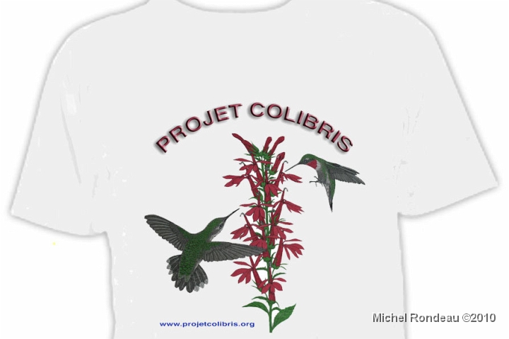 chandail_C.jpg - Merci à Jacques et son épouse | Thanks to Jacques and his wife   Procurez-vous le chandail à l'effigie du Projet Colibris   Get your Projet Colibris T-Shirt    S.V.P. VISITER:  |  PLEASE VISIT:  PROJETCOLIBRIS  ( Français )    ( English )    Baguage de 2008  |  2008 Banding 